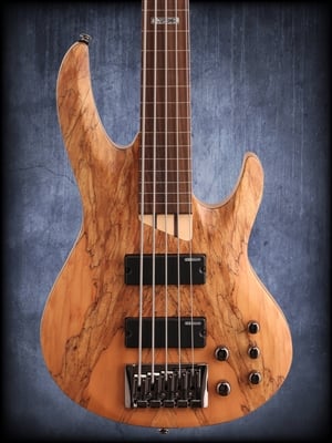 ESP LTD B205SM-FL Fretless 5 String Electric Bass Guitar Natural Satin